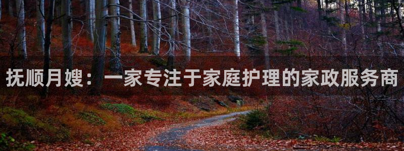 杏悦平台如何