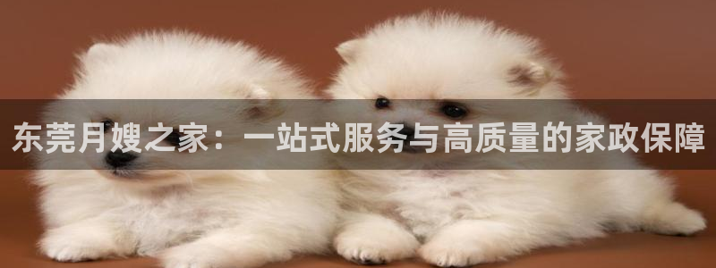 杏悦平台招商