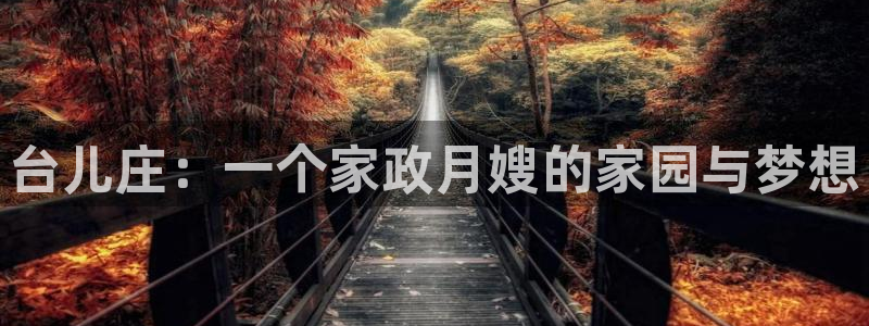 杏悦平台代理怎么赚钱