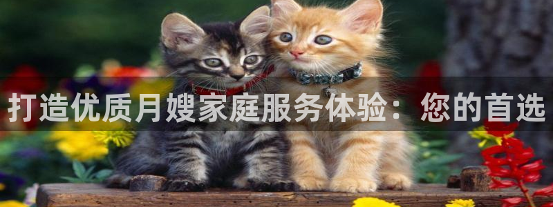 杏悦总代理