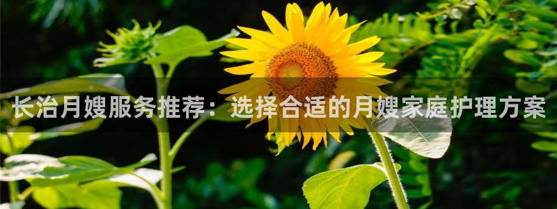 杏悦平台代理怎么赚钱快