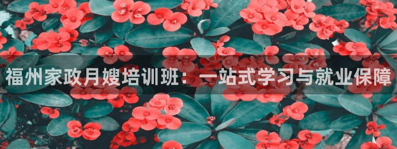 杏悦平台线路测速