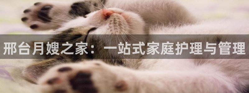 杏悦平台代理怎么样赚钱