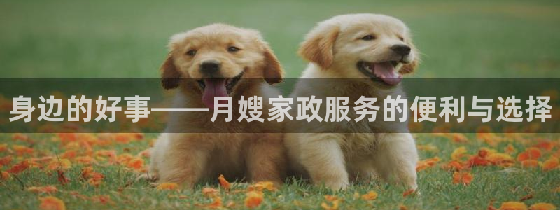 杏悦平台开户地址在哪里
