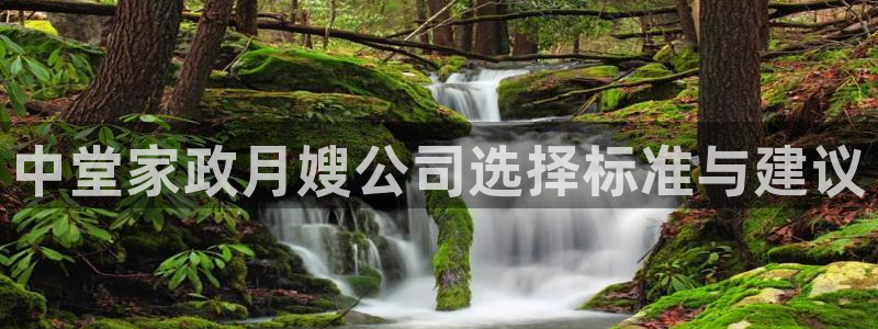 杏悦总代理