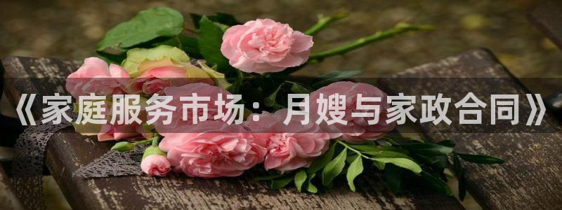 杏悦平台代理怎么样啊