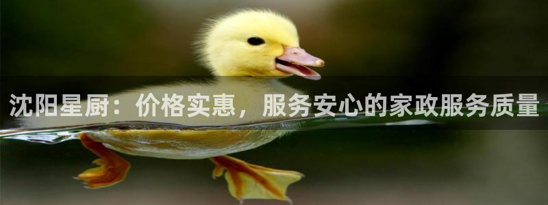 杏悦官网