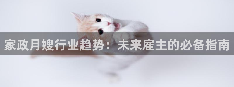 杏悦官方平台官网