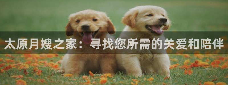 杏悦平台可靠吗可信吗