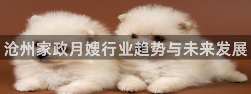 杏悦平台注册网址