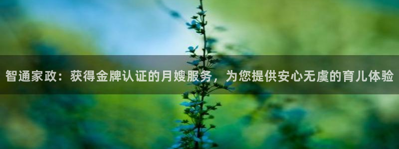 杏悦官网登录入口网址