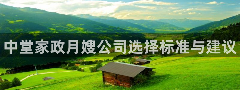 杏悦是什么平台