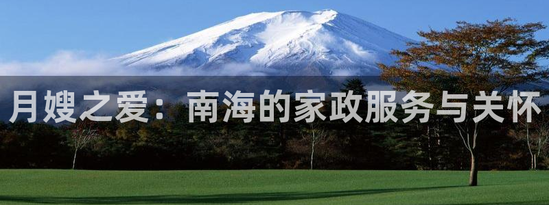 杏悦平台登录网址查询