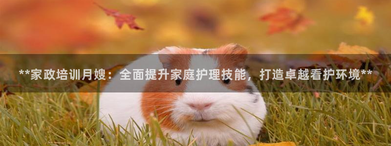 杏悦平台可靠吗是真的吗