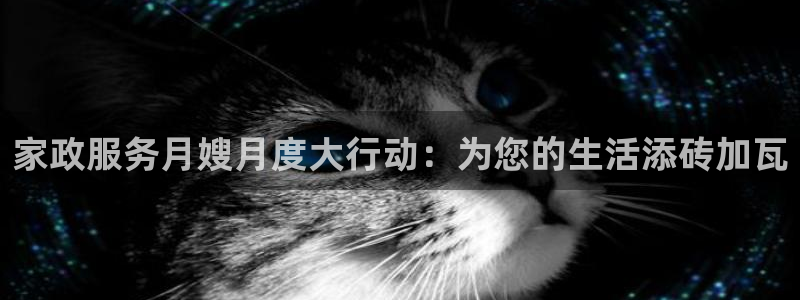 杏悦平台代理怎么做的