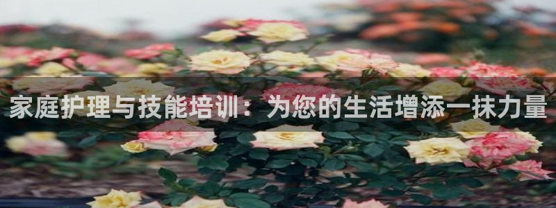 杏悦平台可靠吗