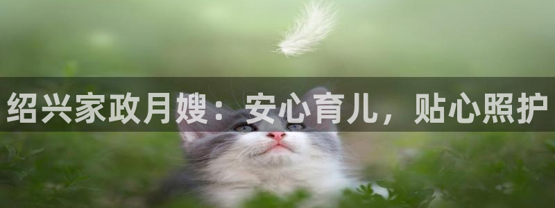 杏悦平台注册要钱吗