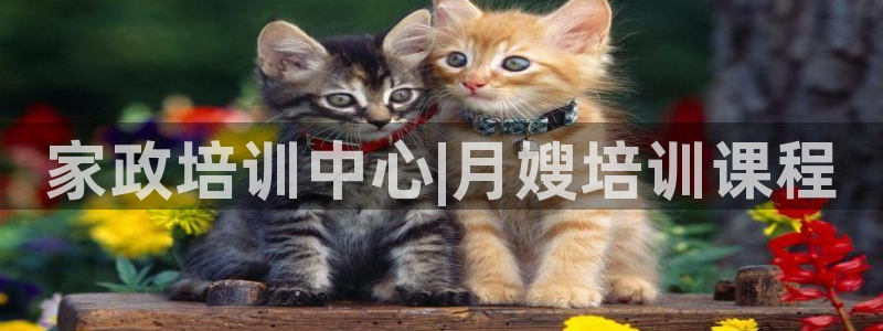 杏悦平台登录入口官网