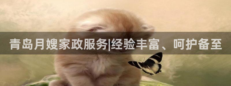 杏悦平台登录网址查询