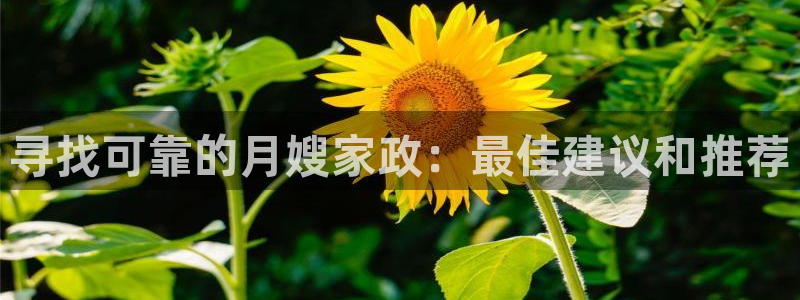 杏悦平台登录网址是多少