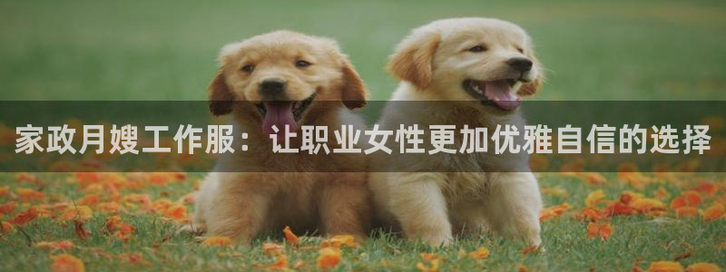 杏悦官网注册信息在哪里查看