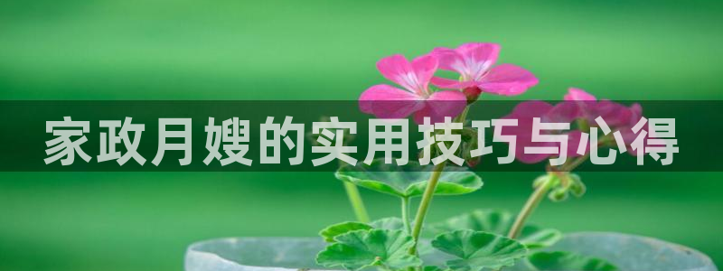 杏悦平台注册地址