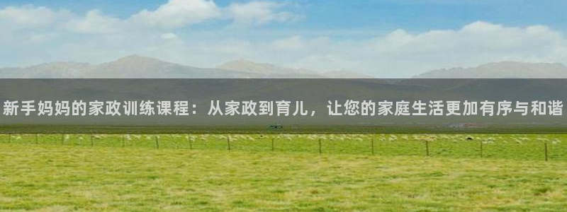 杏悦平台代理注册流程