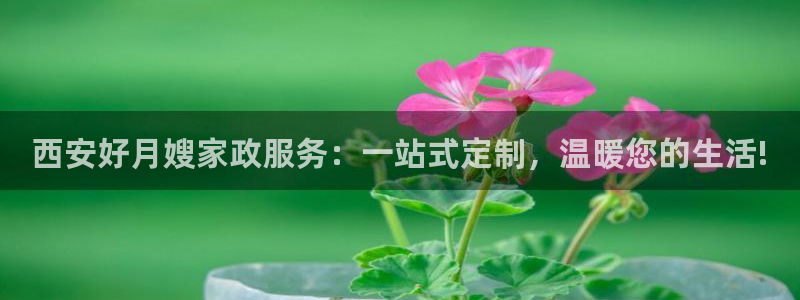 杏悦官网登录入口网址