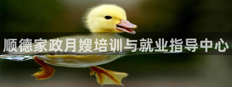 杏悦平台如何注册账号