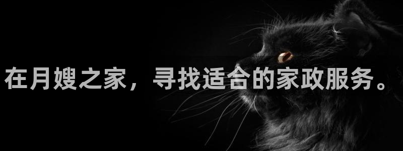 杏悦平台如何注册账号