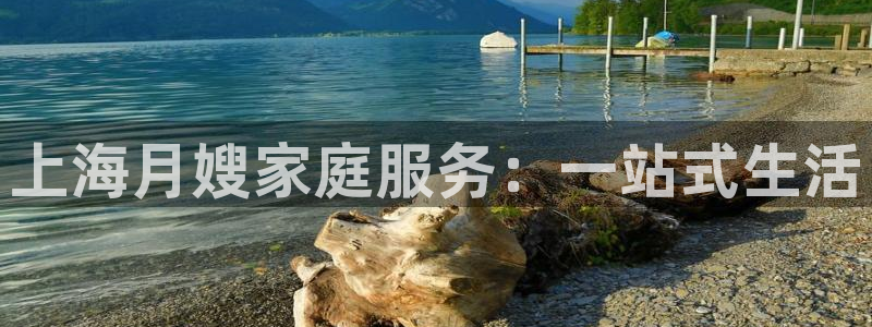 杏悦平台代理注册流程