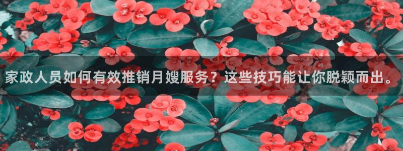 杏悦平台注册地址是哪里