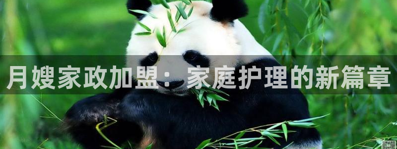 杏悦平台登录入口官网