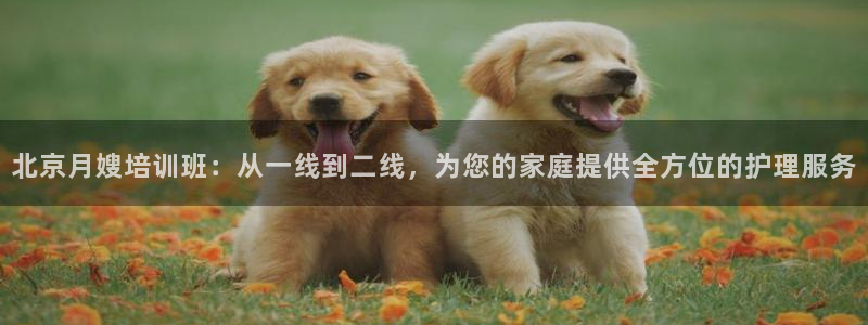 杏悦官网登录入口网址是什么