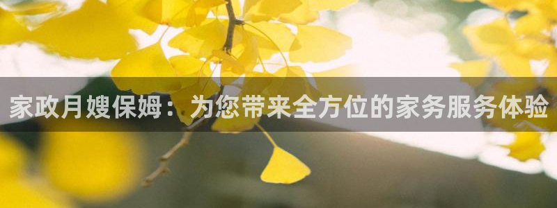 杏悦官网注册信息在哪里看