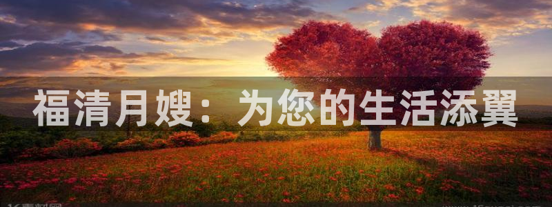 杏悦平台代理注册多少钱