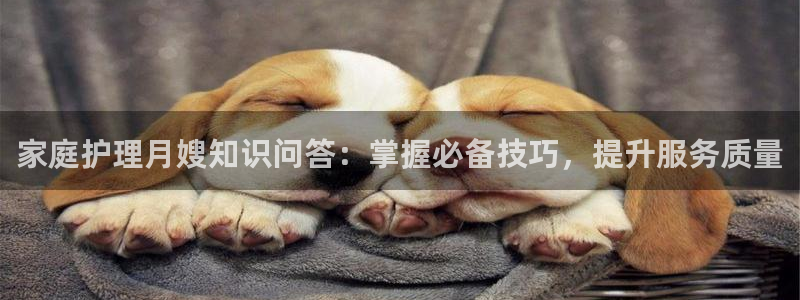 杏悦官网注册信息在哪里