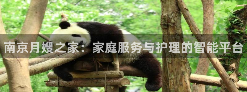 杏悦官网注册信息在哪里