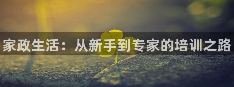 杏悦平台登录地址