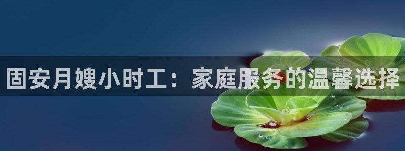 杏悦平台登录地址在哪里