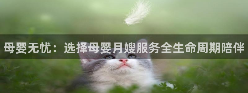 杏悦官网注册信息在哪里找