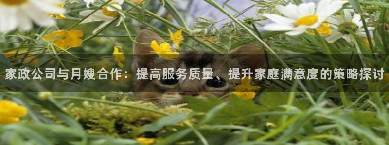 杏悦平台登录地址是什么