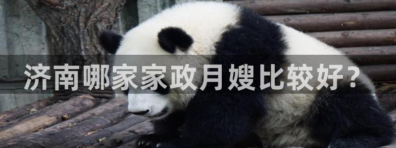 杏悦官网注册信息在哪里