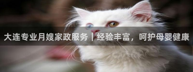 杏悦平台公司介绍