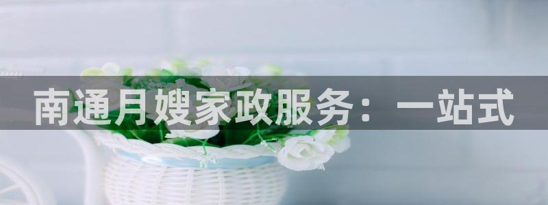 杏悦平台注册流程