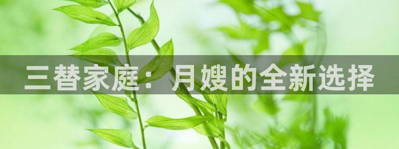 杏悦娱乐怎么玩