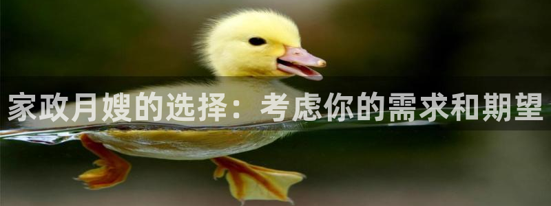 杏悦平台招商电话号码