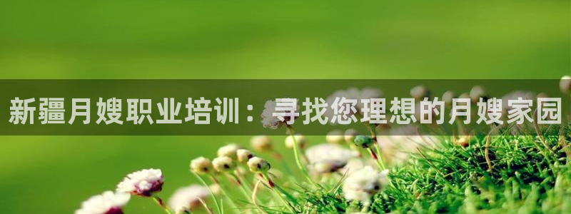 杏悦平台招商怎么样