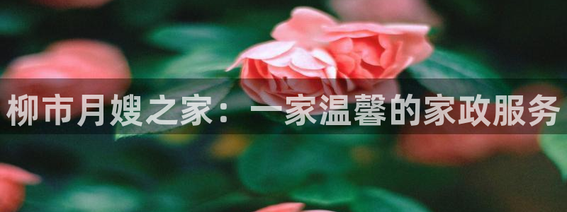 杏悦平台代理注册