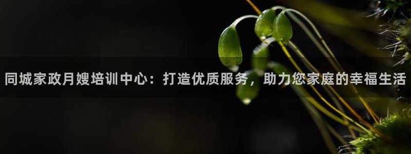 杏悦 -首选推荐平台